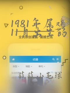 1981年属鸡11月出生的是什么命