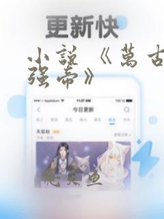 小说 《万古最强帝》