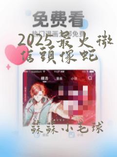 2025最火微信头像蛇