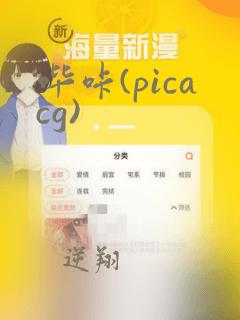 哔咔(picacg)