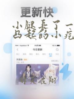 小腿长了一粒粒凸起的小疙瘩很痒