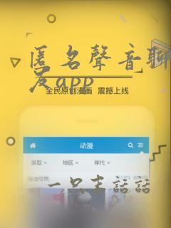 匿名声音聊天交友app