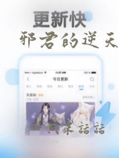 邪君的逆天宠妃