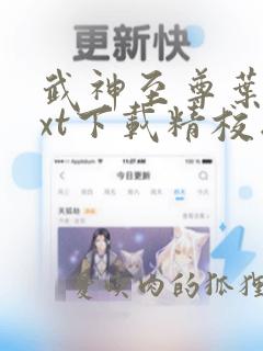 武神至尊叶风txt下载精校版