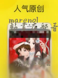 marenol动画在哪看