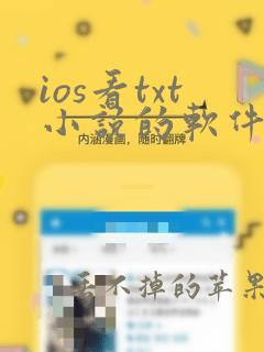 ios看txt小说的软件