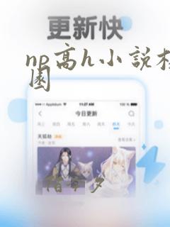 np高h小说校园