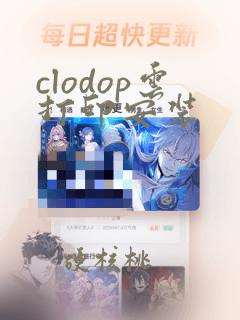 clodop云打印安装