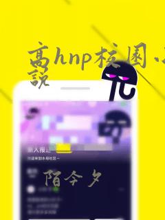 高hnp校园小说