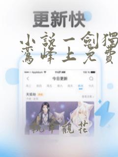 小说一剑独尊青鸾峰上免费