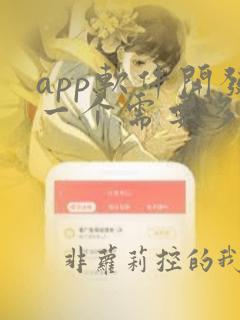 app软件开发一个需要多少价格