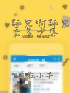 师兄啊师兄第一季多少集