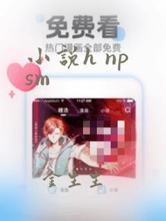 小说h np sm