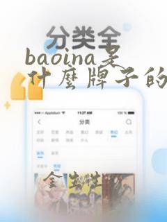 baoina是什么牌子的衣服