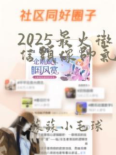 2025最火微信头像帅气