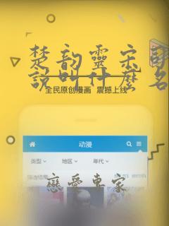 楚韵灵宋司珏小说叫什么名字