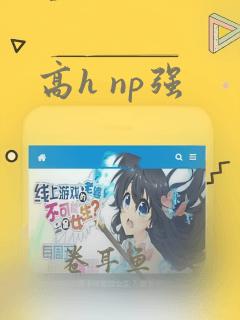 高h np强