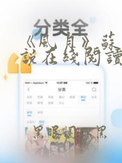 《风月》苏他小说在线阅读全文