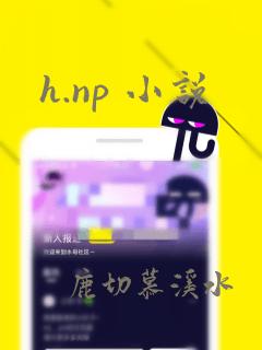 h.np 小说