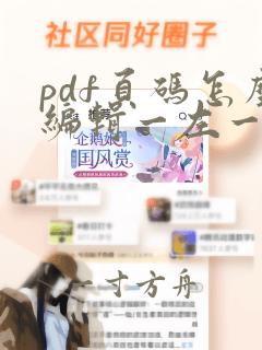 pdf页码怎么编辑一左一右