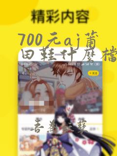 700元aj莆田鞋什么档次