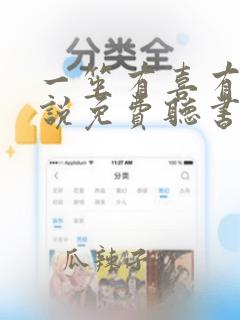 一笙有喜有声小说免费听书