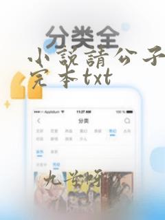 小说请公子斩妖完本txt