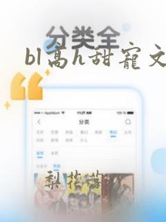 bl高h甜宠文