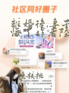 离婚后,妻子后悔了作者陆玄