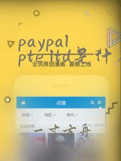 paypal pte ltd是什么公司