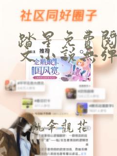 踏星免费阅读全文小说无弹窗