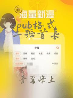 epub格式 二号首长