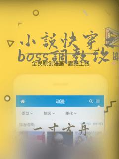 小说快穿之反派boss调教攻略txt