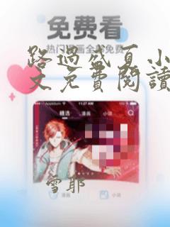 路过盛夏小说全文免费阅读txt完结版