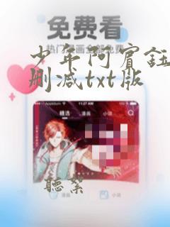 少年阿宾钰慧无删减txt版