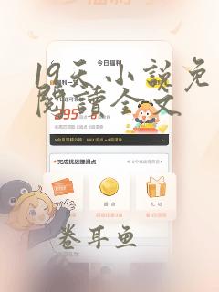 19天小说免费阅读全文