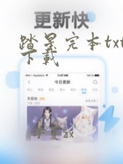 踏星完本txt下载