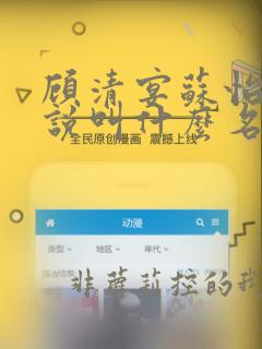 顾清宴苏怡宁小说叫什么名字