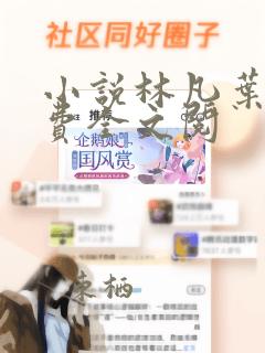 小说林凡叶惜免费全文阅