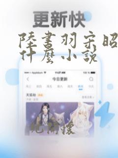 陆书羽宋昭行是什么小说