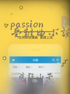 passion受难曲小说原著