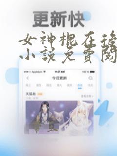 女神棍在后宫 小说免费阅读全本