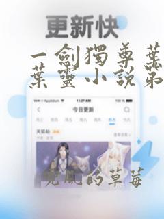 一剑独尊叶玄,叶灵小说第十五章