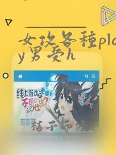 女攻各种play男受h