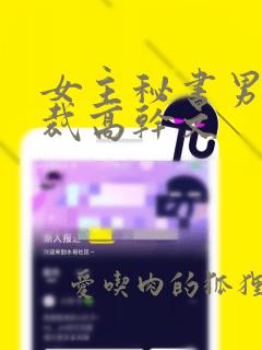 女主秘书男主总裁高干文