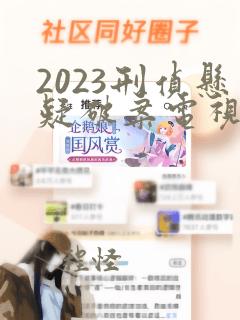 2023刑侦悬疑破案电视剧