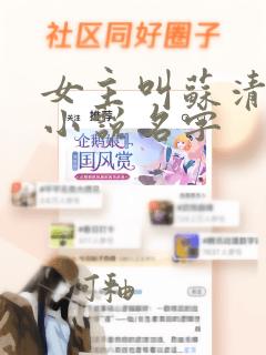 女主叫苏清歌的小说名字