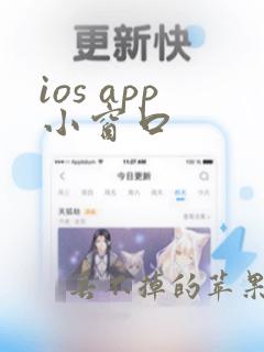 ios app小窗口