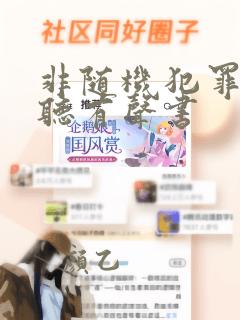 非随机犯罪在线听有声书