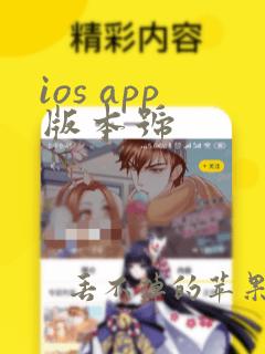 ios app版本号